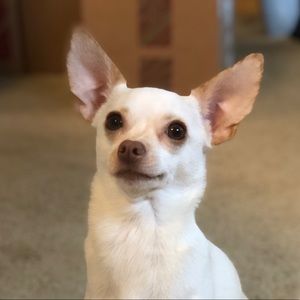 Meet your Posher, Sergio